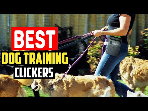 ✅Top 5 Best Dog Training Clickers Reviews in 2023