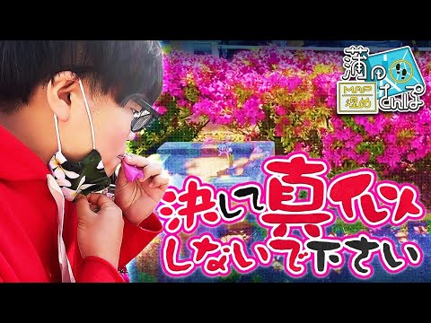 【蒲田】#25 ツツジの蜜は吸っちゃ駄目【MAP埋めさんぽ】