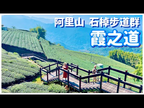 【嘉義景點】 車遊阿里山「霞之道」欣賞沿途高山茶田美景  chiayi , Taiwan - 4K