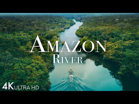 Amazon River 4k - Pink Dolphins In One Of The World’s Largest Rivers | Scenic Relaxation Film