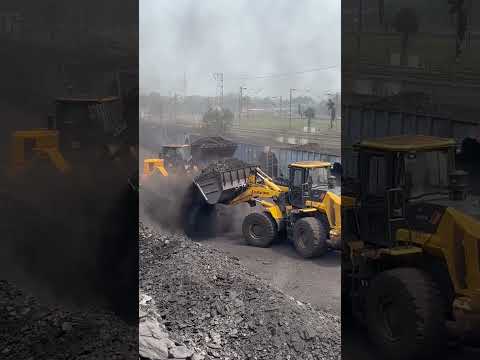 437-4 ECO AND 856 H MAX COAL LOADING VIDEO #wheelloader #loader #automobile #loader #reels #bs4 #bs3