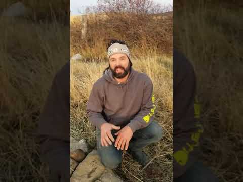 Building One Rock Dams For Erosion Control And Water Harvesting