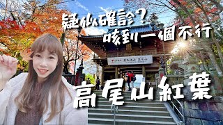 在日本疑似確診？爬東京郊區高尾山 運動🏋吃最愛的団子🍡欣賞滿滿紅葉🍁