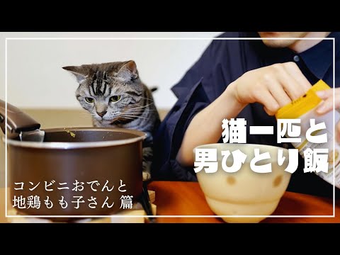 妻不在につき、愛猫に見守られながらコンビニのおでんを鍋のまま頬張る【猫一匹と男ひとり飯】