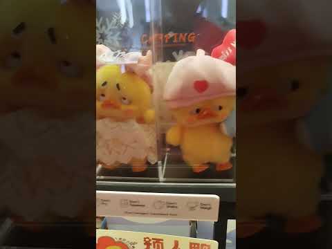 Angry ducks #shortviral #cuteducks