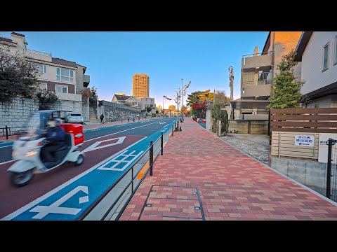 Tokyo Japan - Shakujii Autumn Leaves, Sunset Walk 2024 • 4K HDR