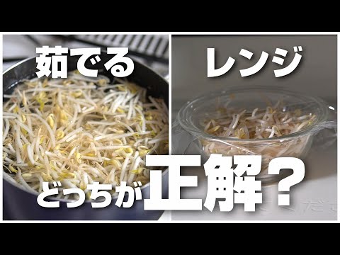 もやしは茹でるのとレンジ、どっちが正解なの？検証してみたら驚きの結果に！