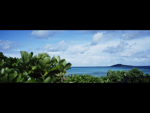 Let's take a refreshing walk on Miyakojima / SONY FX3 / SIRUI Saturn Anamorphic lens 50mm T2.9