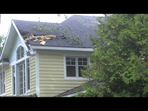 Storm Trees Down in Fenelon Falls