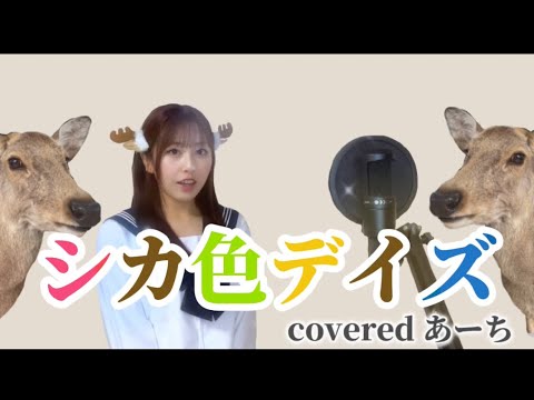 シカ色デイス 歌ってみた covered byあーち