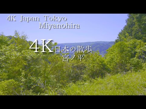 A walk starting from Miyanohira Station in Tokyo 4K HDR