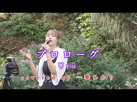 プロローグ / Uru  covered by 《一華ひかり》 ※概要欄にツアー情報があります