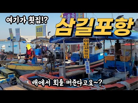 태안/서산 삼길포항 선상어시장, 수산물직매장 꽃게, 전어, 광어, 우럭 시세