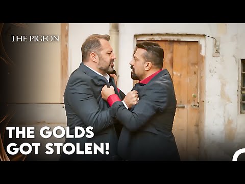 Celil Asks Kasim an Explanation About the Golds - The Pigeon 2