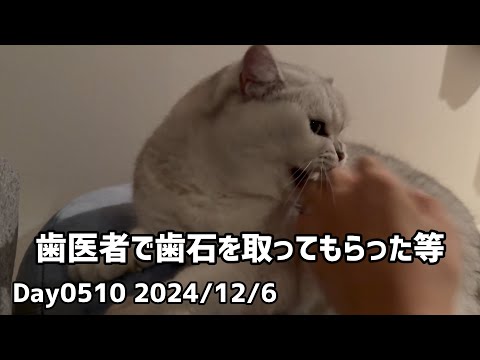 Day0510_歯医者で歯石を取ってもらう。歯茎が炎症してたら、出血を過度に恐れないほうが良いらしい。松本清張を読む【2024年12月6日】