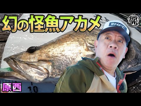 原西『幻の怪魚アカメ』を追う！