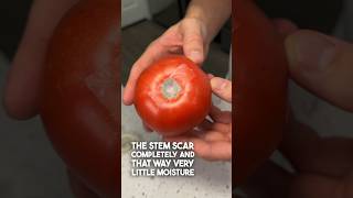 You Should Follow These Storage Tips To Make Tomatoes Last Longer!