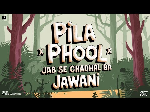 Pila Phool X Jab Se Chadhal Ba Jawani | Cg Bhojpuri Remix Dj Tushar Devkar