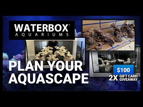 Planning A Saltwater Aquascape - Episode 173