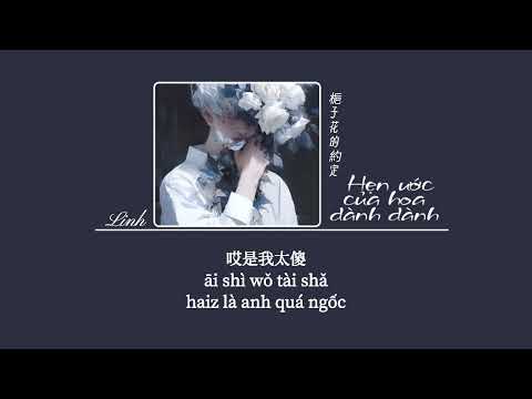 [Vietsub] Hẹn ước của hoa dành dành • Ngu Thư Thần (Bản Nam) ♪ 梔子花的約定 • 虞书宸