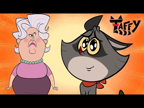 Is My Cover Blown? Proving I'm the Cattiest Cat Ever! 😱🐾 | Taffy The Show