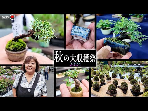 I went to a mini bonsai and wildflower sales event [Bonsai Q]