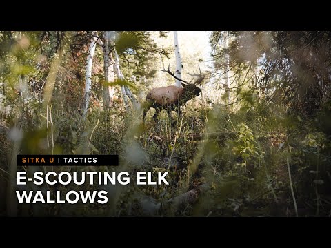 How to locate elk hunting hot spots with Josh Boyd