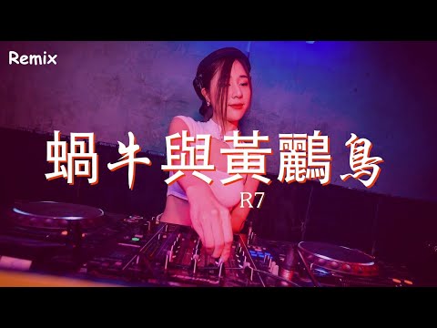 R7 - 蝸牛與黃鸝鳥 - [慢搖DJ舞曲] - 2023年最勁爆的DJ歌曲  - [Chinese Dj Remix 2023]