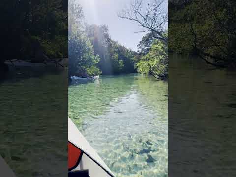 Kayaking Adventure | Freshwater Spring