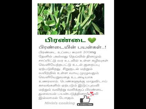 பிரண்டையின் மருத்துவ குணங்கள் | Pirandai benefits in tamil #shorts #tips #healthtips