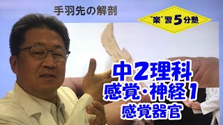 【中２理科　動物】感覚・神経１　「感覚器官」