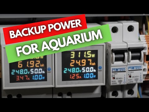 Backup Power Solution For Your Aquarium