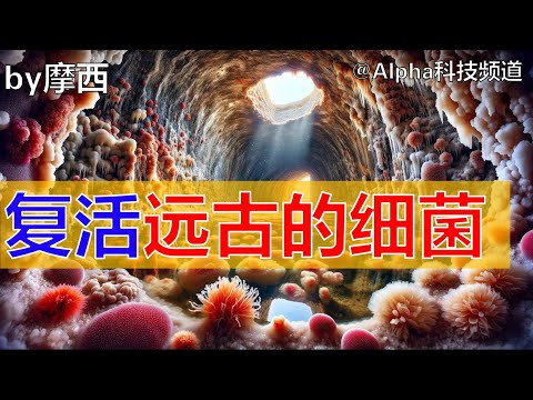 复活远古的细菌 | #嗜盐菌 #科学 #生物学 #佩尼尔湖 #Peigneur | @Alpha科技频道， by Alpha的摩西