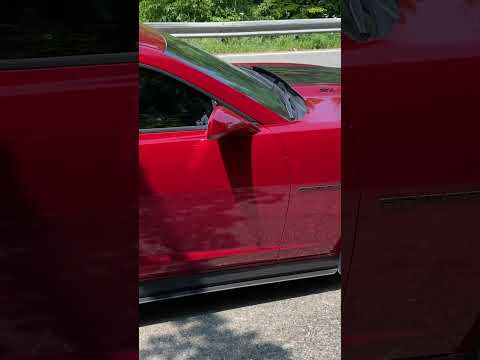 Rare Camaro ZL1 Spotted #carspotting #zl1 #camaro #comedy #carcomedy