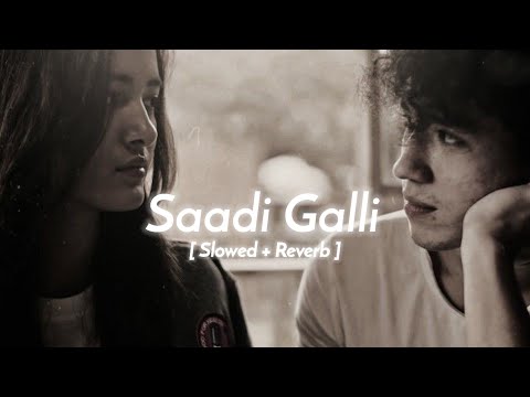 Saadi Galli Aaja ( Slowed & Reverb ) Ayushmann Khurrana | Saadi Galli Song Lofi Remix