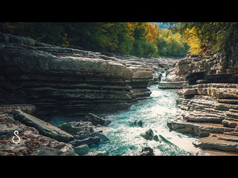 Beautiful Forest River In Mountains | 3 Hours | Nature Scenes