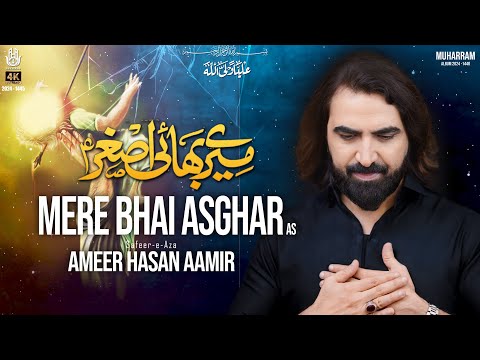 Noha 2024 | Mere Bhai Asghar | Ameer Hasan Aamir Nohay 2024 | Noha Hazrat Ali Asghar (a.s)