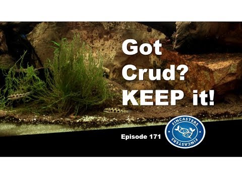 Got Crud?  Keep it!  Decomposition in a Tannin Tank Episode 171