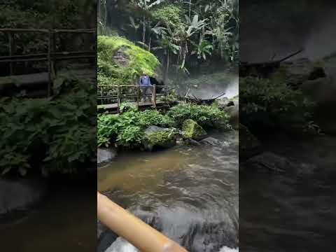 #waterfall น้ำตกผาดอกเสี้ยว #travel #nature #shortvideo #youtubeshort #เชียงใหม่