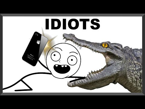 Why Everyone Is An Idiot