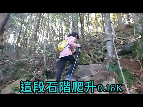 【橫嶺山步道】大雪山小眠月線，適合親子接近大自然，雲霧瀰漫的季節穿梭林間仙氣盎然，想登頂挑戰滿滿成就，攻頂前0.6K也能練練腿力，不讓人失望~橫嶺山步道。