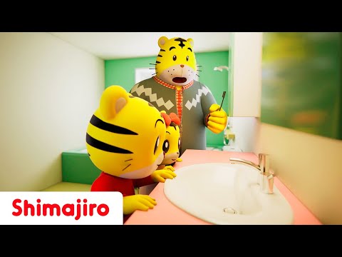 Save the water! 🌊 Turn off the tap! 💧💦| Good habits with Shimajiro | Kids songs & Nursery Rhymes