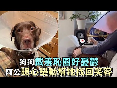 狗狗戴羞恥圈好憂鬱，阿公暖心舉動，幫牠找回笑容！｜寵物｜狗狗｜搞笑｜可愛｜狗｜暖心