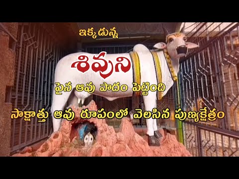 సాక్షాత్తు ఆవు రూపంలో వెలసిన శివయ🙏 |Mahanandi Temple History |By RK UNIVERSE VLOG