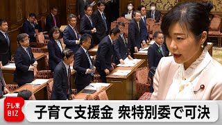 財源確保のため公的医療保険上乗せ　子育て支援法改正案が衆特別委を通過（2024年4月18日）