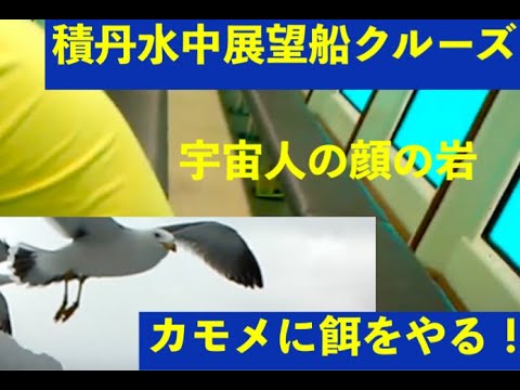 積丹水中展望船クルーズ・海岸と水中の風景＆秘密のキャンプ地、カモメに餌をやる