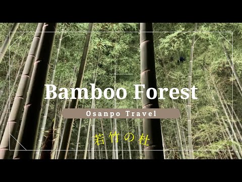 Takebayashi [Utsunomiya] Introducing the famous Japanese bamboo grove used in filming movies