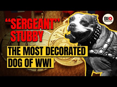 "Sergeant Stubby: The Most Decorated Dog of WWI