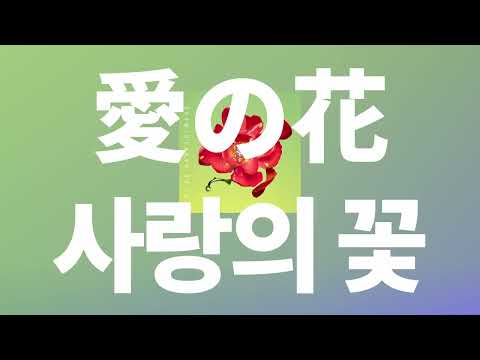 하늘이 맑아지면 만나러 와줘☁️☀️: 아이묭 - 사랑의 꽃(愛の花) [가사/발음/한글 자막/해석]