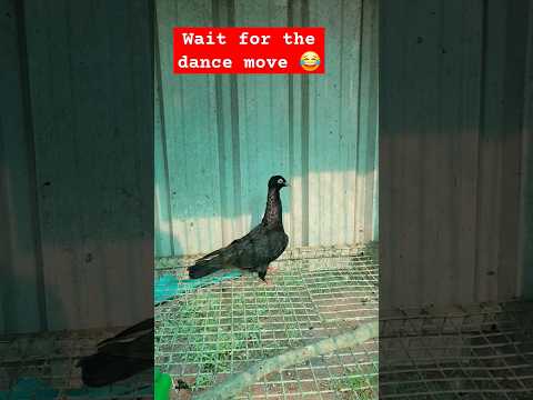 look how she dance for the song kurchi madathapetti #song #kurchimadathapetti